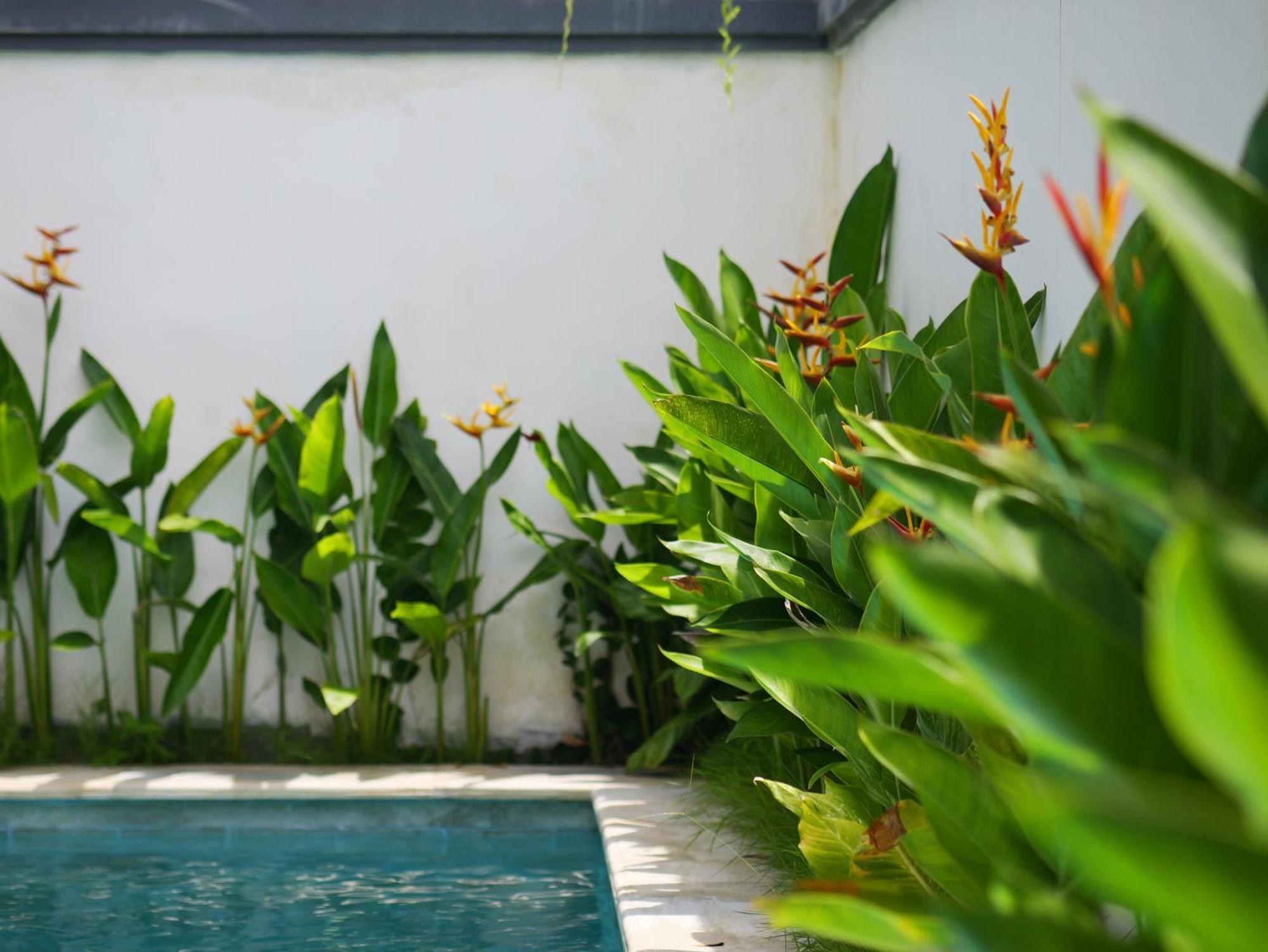 Ken Ken Guest House Seminyak Exteriör bild